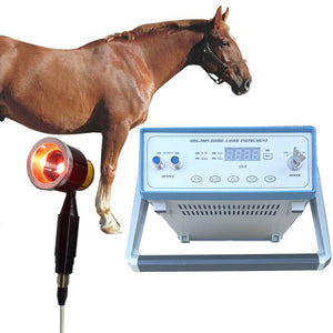 
                  
                    808nm Veterinary LLLT Machine Laser Therapy/Physiotherapy Pain Treatment
                  
                