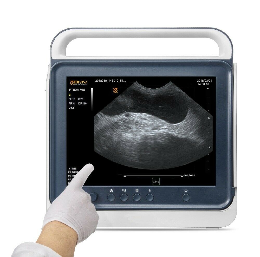 
                  
                    Veterinary 15" Adjustable TouchScreen B/W Portable Ultrasound Scanner System
                  
                