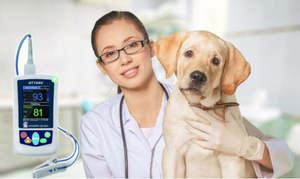 
                  
                    Veterinary Equipment Handheld Pulse Oximeter for Cat/Dog/Horse
                  
                