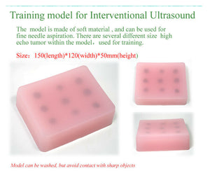
                  
                    Model for Interventional Ultrasound, Soft tissue, B-Ultrasound Training Teaching
                  
                