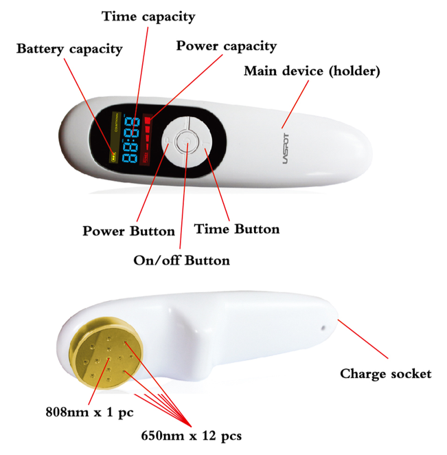 KM-20 Equine Cold Laser Therapy Unit for Horses Pain Relief Veterinary