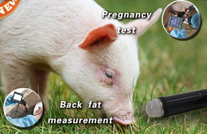 
                  
                    Cow, Sheep, Cat/Dog Pregnancy Test Machine Veterinary Imaging Doppler Ultrasound
                  
                