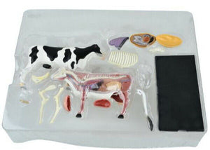 
                  
                    4D Master Cow Anatomy Model Assembly Internal Organ Bone, Veterinary Teaching
                  
                