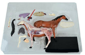 
                  
                    4D Master Horse Anatomy Model Organ Skeleton Veterinary Science Teaching Puzzle
                  
                