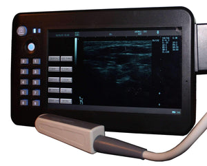 
                  
                    Equine 230KV Large Animals Ultrasound
                  
                