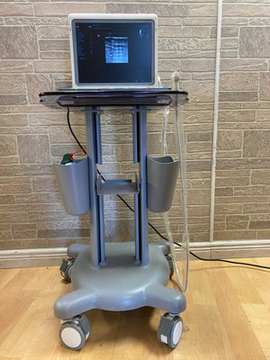 
                  
                    Mindray DP50 ultrasound
                  
                