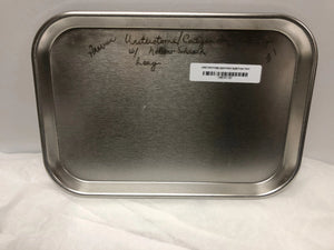 
                  
                    Polar Ware Shallow Surgical 13.5" Tray 15F | KMCE-164
                  
                