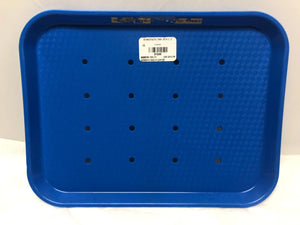 
                  
                    Blue Plastic Surgical 12" Tray with Holes | KMCE-168
                  
                