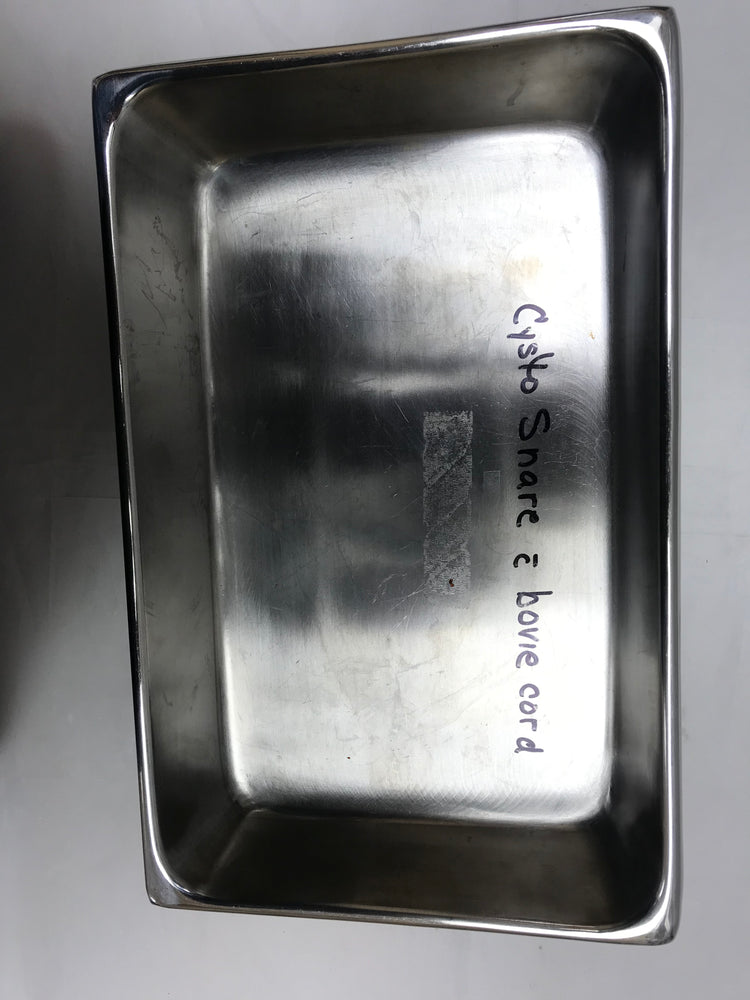 
                  
                    Anchor Stainless Steel Instrument Tray
                  
                