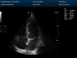 
                  
                    DCU30Vet Clinical Images
                  
                