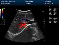 
                  
                    DCU30V Color Clinical Images
                  
                