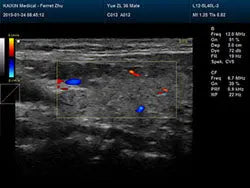 
                  
                    DCU30Vet Clinical Images
                  
                