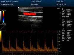 
                  
                    DCU30Vet Medical Images
                  
                