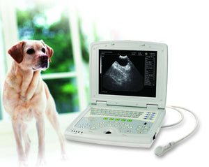 
                  
                    KX5000V Veterinary Portable Laptop Ultrasound Machine | KeeboMed
                  
                