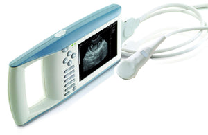 
                  
                    KX5100V Palm Scanner
                  
                