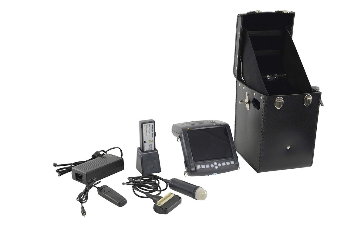 Portable mechanical sector veterinary ultrasound scanner