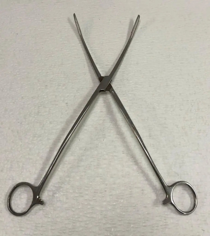 
                  
                    Amico Curved Serrated Ratchet Forceps | KeeboMed
                  
                