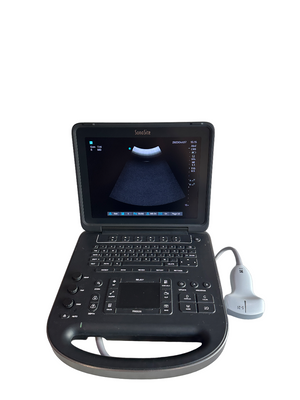
                  
                    Sonosite rC60Xi 5-2MHz Ultrasound Probe For Sonosite Edge 2   2017
                  
                