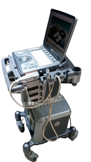 
                  
                    GE LOGIQ E PORTABLE ULTRASOUND MACHINE WITH 1 PROBE (12L)
                  
                