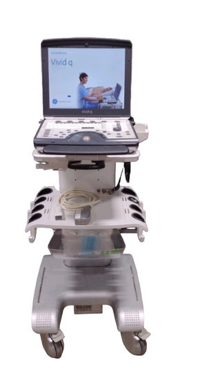 
                  
                    GE VIVID-Q PORTABLE ULTRASOUND MACHINE WITH 1 PROBE (M4S)  CART 2012
                  
                