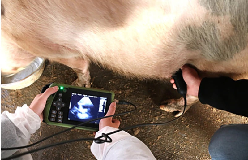 
                  
                    ECO-11Vet Farm Animal Ultrasound For Dogs, Pigs, Sheep,Goats with Sector probe
                  
                